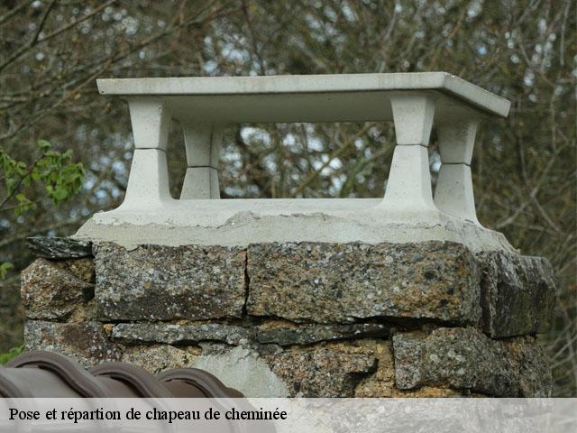 Pose et répartion de chapeau de cheminée