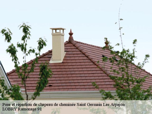 Pose et répartion de chapeau de cheminée  saint-germain-les-arpajon-91180 LOBRY Ramonage 91