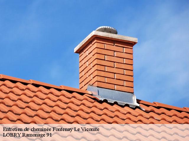 Entretien de cheminée  fontenay-le-vicomte-91540 LOBRY Ramonage 91