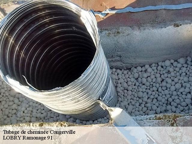 Tubage de cheminée  congerville-91740 LOBRY Ramonage 91
