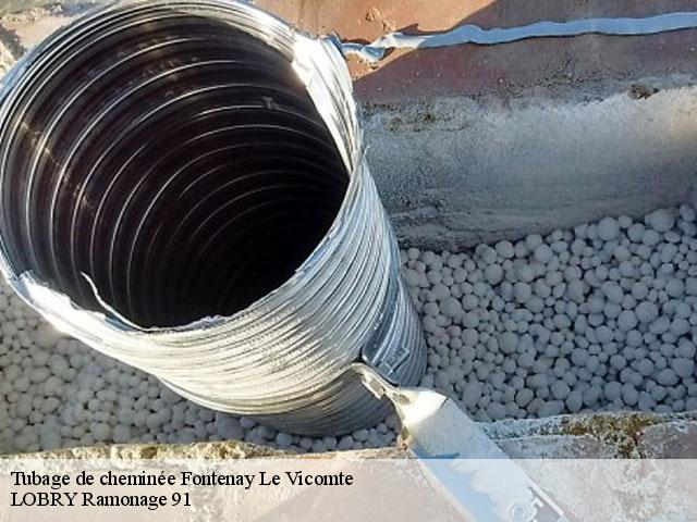 Tubage de cheminée  fontenay-le-vicomte-91540 LOBRY Ramonage 91