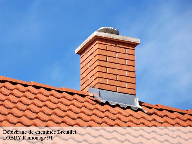 Débistrage de cheminée  breuillet-91650 LOBRY Ramonage 91